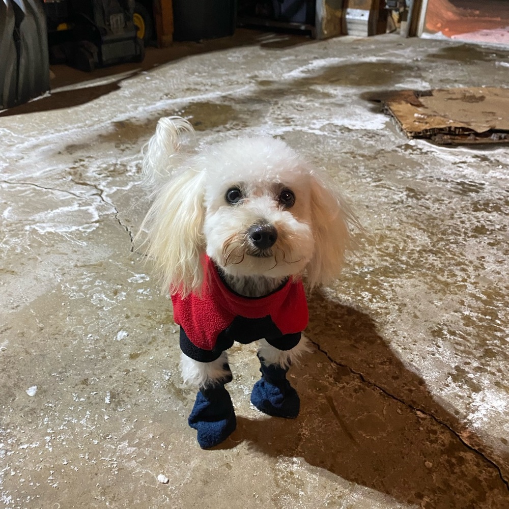 Meet your Posher, Leah